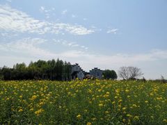 -宁波杭州湾国家湿地公园
