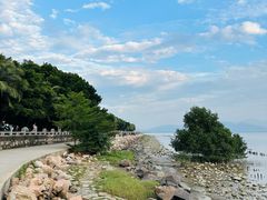 -深圳湾公园(南山区)