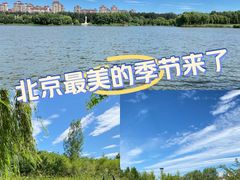 -马家湾湿地公园