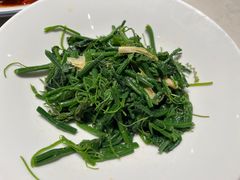 -杨氏青龙虾·羊蝎子(金盛路总店)