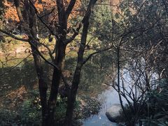 -杭州半山国家森林公园