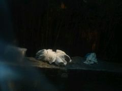 -龙达温泉生态城
