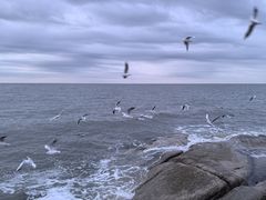 -老虎石海上公园