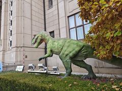 -国家自然博物馆