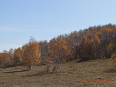 -塞罕坝国家级自然保护区