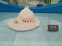 -长春农博园