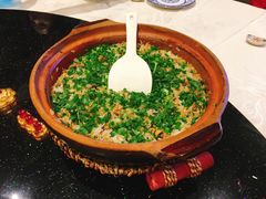 -丰食农家乐
