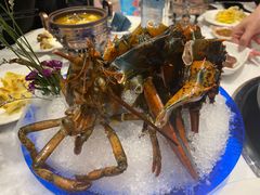 -半岛听涛蒸汽海鲜自助(K11店)