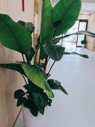 -上海伊莱美医疗美容医院