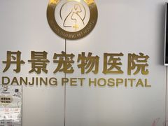 -丹景宠物医院·全科·老年病·牙科(武昌诊疗中心)