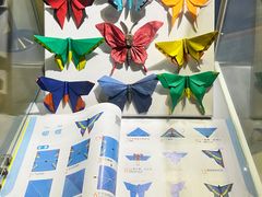 -上海昆虫博物馆