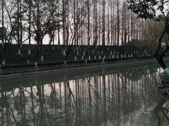 -瀛洲公园