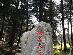 -武汉大学-樱园