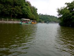 -广东茂名森林公园