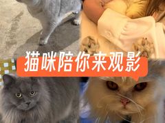 -木沐影咖(鑫乐汇购物广场店)