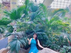 -杭州开元森泊度假乐园