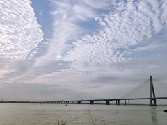 -芒洲湿地公园