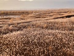 -野鸭湖国家湿地公园