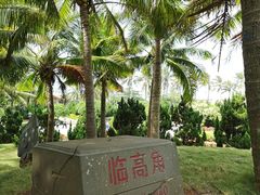 -临高角