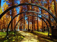 -黄海国家森林公园