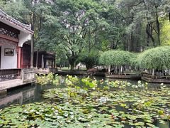 -温江公园