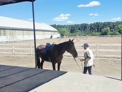 -月河湾马术俱乐部(朝阳店)