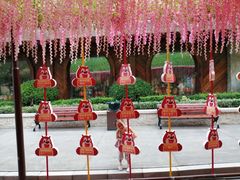 -郑州方特梦幻王国