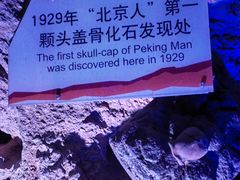 -周口店北京人遗址公园