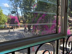 -翠云楼·汽锅鸡·云南特色菜(翠湖公园店)