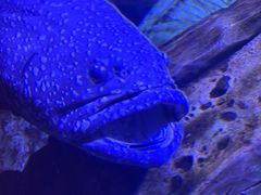 -哈尔滨波塞冬海底世界