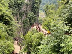-鹿院坪生态旅游景区