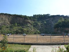 场馆-枫露马术学院(藏书校区)