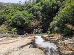 -广州白江湖森林公园