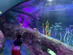 -沈阳海洋探索中心