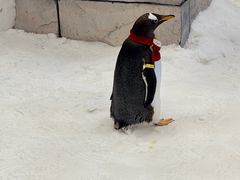 -长沙湘江欢乐雪域