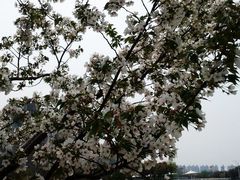 景点-新江湾城公园