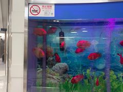 -雅悦齿科(顾村公园店)