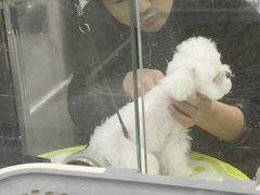 -它主义宠物(梁溪万达店)