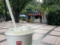 -晓港公园