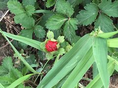 -太湖湾开元名庭大酒店