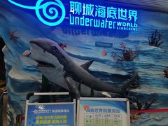 -聊城海底世界
