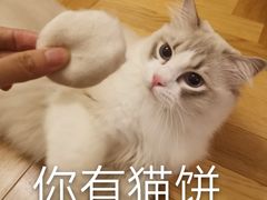 -功德林(南京西路店)