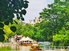 -莲湖公园