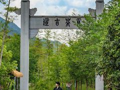 -大唐贡茶院