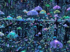 -深圳独角兽星空艺术馆