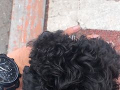 -宠颐生动物医院·心脏科·保险定点(锦阳分院)