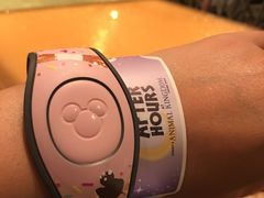 -奥兰多迪士尼动物王国乐园