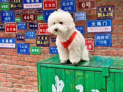 -SeekSeeking咖啡专门店(堰塘街店)