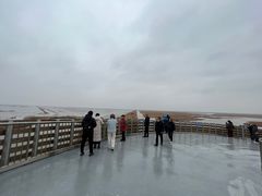 -盐城丹顶鹤湿地生态旅游区