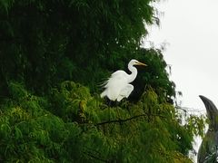 -四海公园(南山区)
